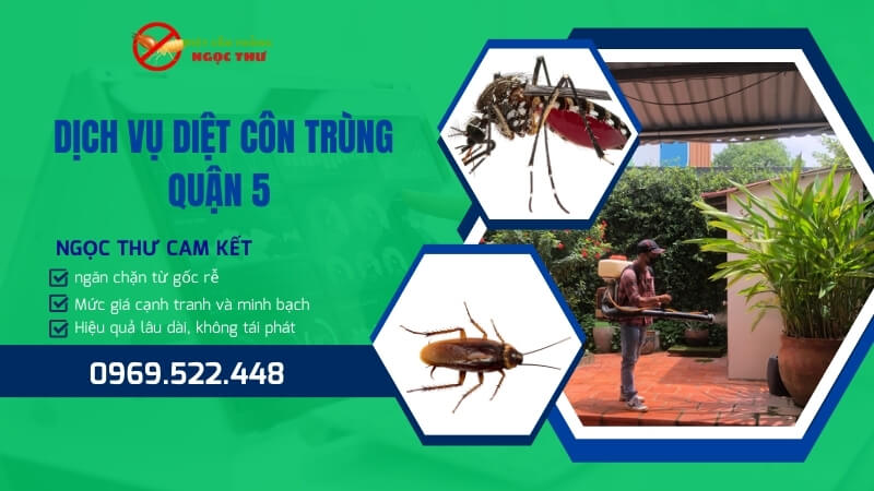 Dịch Vụ Diệt Côn Trùng Quận 5 Chuyên Nghiệp 1 Dịch vụ diệt côn trùng tại quận 5 chuyên nghiệp - Ngọc Thư