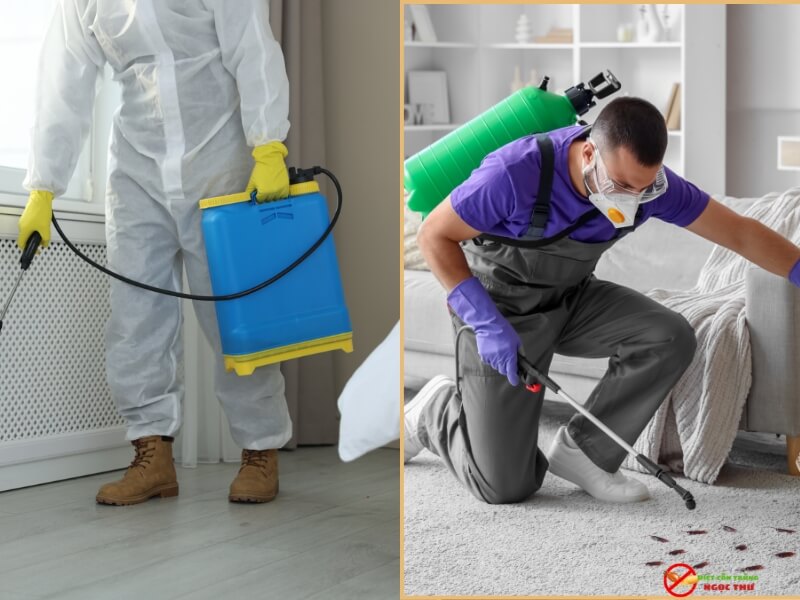 Dịch Vụ Diệt Gián Phường Xuân Hòa, Diệt Tận Gốc 2 Dịch vụ diệt gián tại phường Xuân Hòa, diệt tận gốc ổ gián