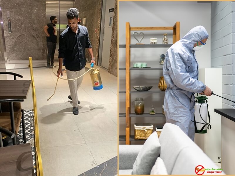 Dịch Vụ Diệt Gián Phường Xuân Hòa, Diệt Tận Gốc 3 Dịch vụ diệt gián tại phường Xuân Hòa, an toàn, chuyên nghiệp