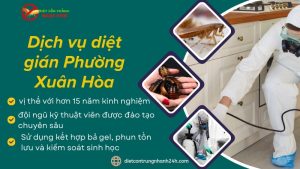 Dịch vụ diệt gián tại phường Xuân Hòa, TPHCM