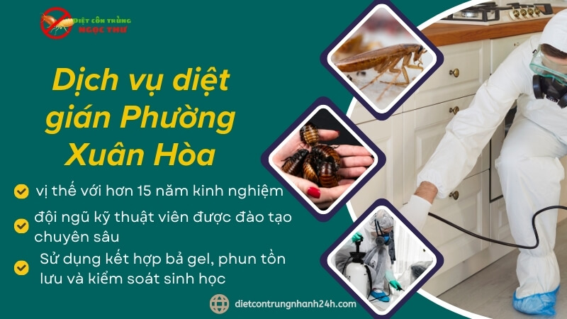 Dịch Vụ Diệt Gián Phường Xuân Hòa, Diệt Tận Gốc 1 Dịch vụ diệt gián tại phường Xuân Hòa, TPHCM