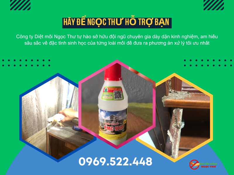 Dịch Vụ Diệt Mối Phường Xuân Hòa Chuyên Nghiệp 1 Dịch vụ diệt mối phường Xuân Hòa chuyên nghiệp