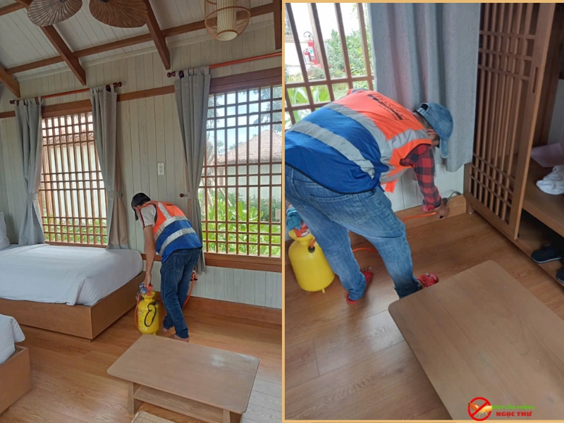 Dịch Vụ Diệt Mối Phường Xuân Hòa Chuyên Nghiệp 2 Dịch vụ diệt mối phường Xuân Hòa chuyên nghiệp, bảo hành lâu dài