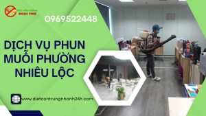 Dịch vụ phun thuốc muỗi phường nhiêu lộc