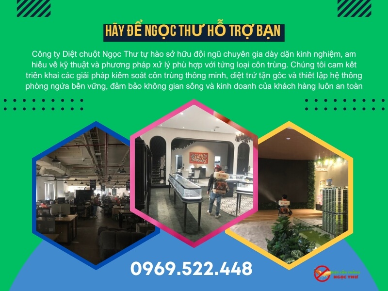 Lợi ích vượt trội khi chọn công ty diệt côn trùng Ngọc Thư