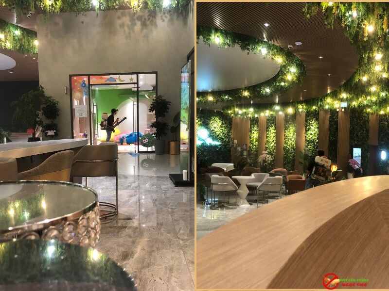 Dịch vụ phun thuốc muỗi tại phường Tân Uyên chuyên nghiệp của Ngọc Thư