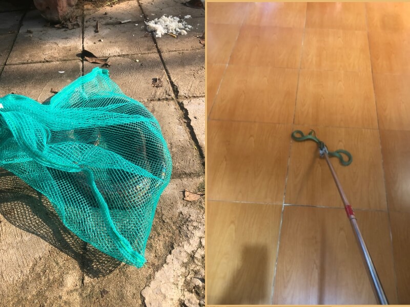 Dịch vụ bắt rắn chuyên nghiệp Ngọc Thư