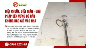 Diệt chuột, diệt gián để rắn không bao giờ bò vào nhà