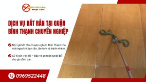 Dịch vụ bắt rắn tại Bình Thạnh, NgọcThư