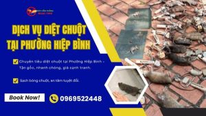 Dịch vụ diệt chuột tại phường Hiệp Bình uy tín