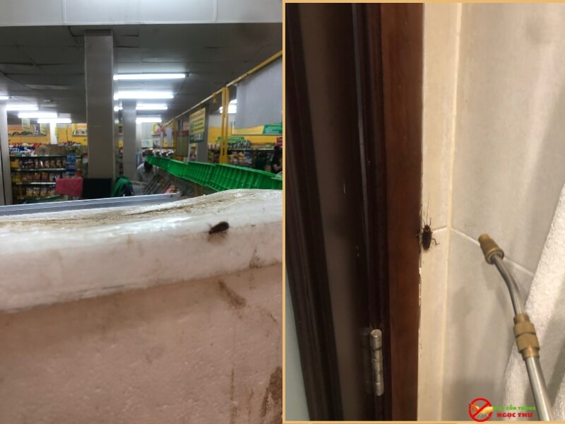 Dịch vụ diệt gián phường Tam Bình, Sử dụng IPM