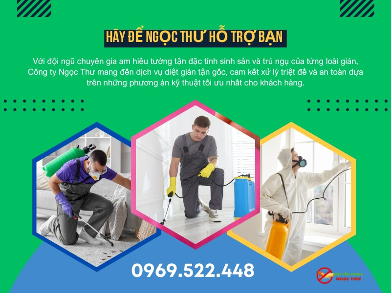 Tại sao gián khó bị tiêu diệt? Sức sống mãnh liệt của loài côn trùng này 3 Dịch vụ diệt gián NgọcThư