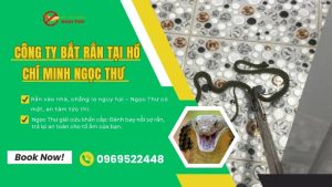 Công ty bắt rắn tại Hồ Chí Minh chuyên nghiệp