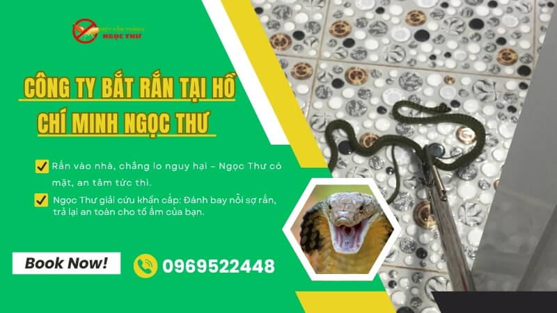 Công ty bắt rắn tại Hồ Chí Minh chuyên nghiệp