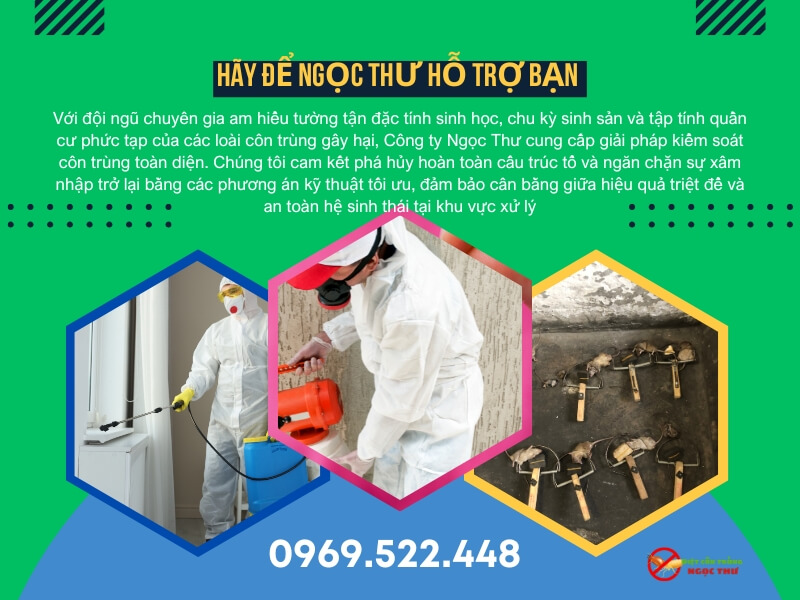 Dịch vụ diệt côn trùng phường Xuân Hòa - Ngọc Thư
