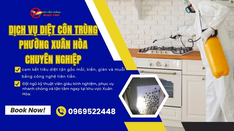 Dịch vụ diệt côn trùng phường Xuân Hòa chuyên nghiệp
