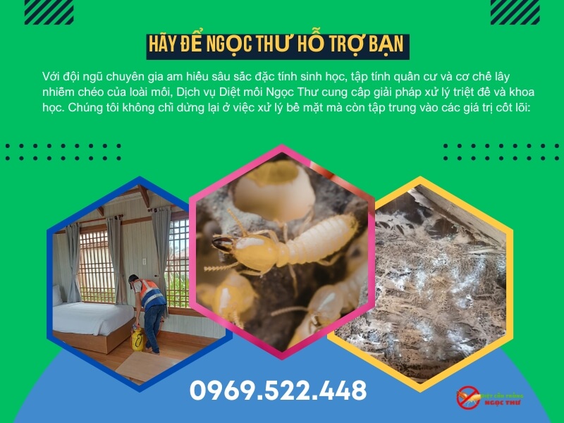 Dịch vụ diệt Mối Ngọc Thư