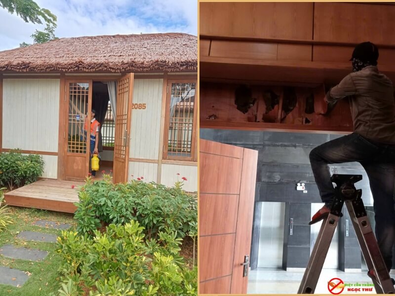 Dịch vụ diệt Mối Ngọc Thư, Diệt tận gốc bằng công nghệ sinh họclây nhiễm