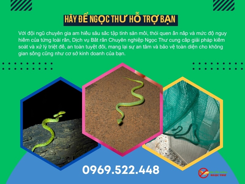 Công Ty Bắt Rắn Chuyên Nghiệp 2 Công ty bắt rắn nhanh chóng và an toàn Ngọc Thư