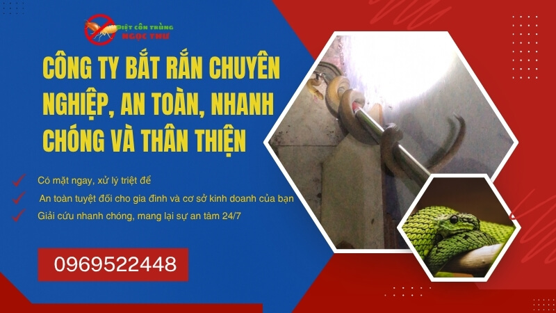 Công Ty Bắt Rắn Chuyên Nghiệp 1 Công ty bắt rắn chuyên nghiệp Ngọc Thư