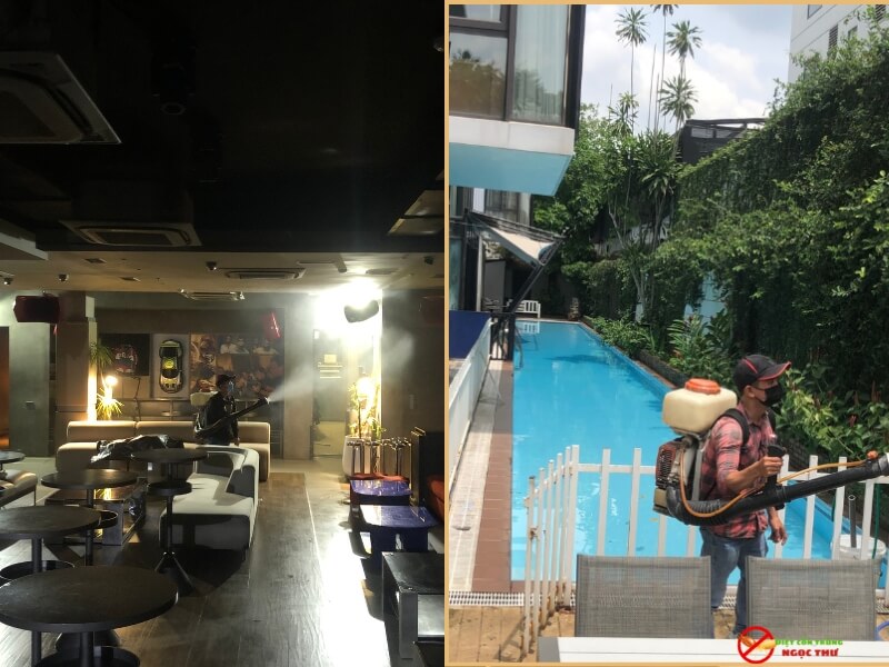Dịch vụ diệt côn trùng tại Dĩ An, kiểm soát côn trùng chuẩn IPM 4 Phun muỗi chuyên nghiệp