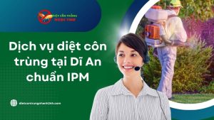 Dịch vụ diệt côn trùng chuyên nghiệp tại dĩ an