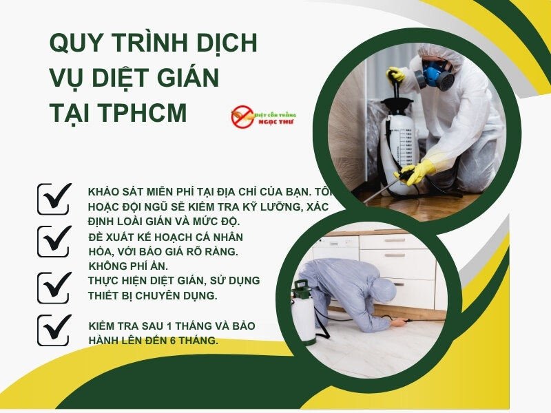 dịch vụ diệt gián tại nhà 4 Quy trình diệt gián tại nhà chuyên nghiệp