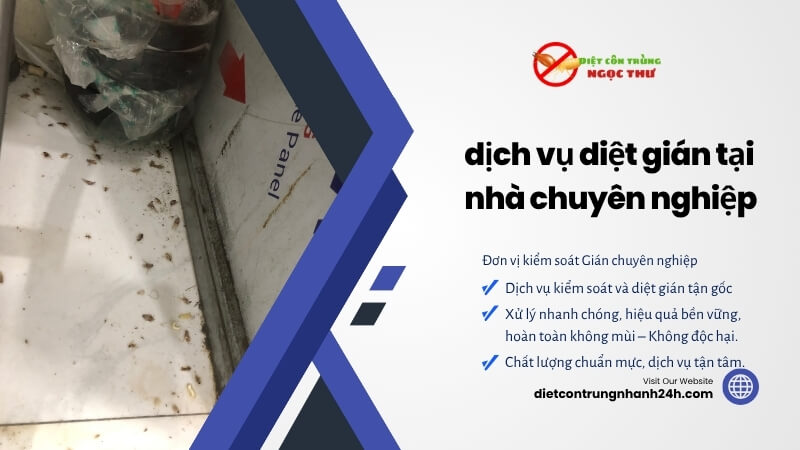 dịch vụ diệt gián tại nhà 1 Dịch vụ diệt gián tại nhà chuyên nghiệp