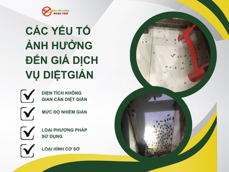 Các yếu tố ảnh hưởng đến giá diệt gián