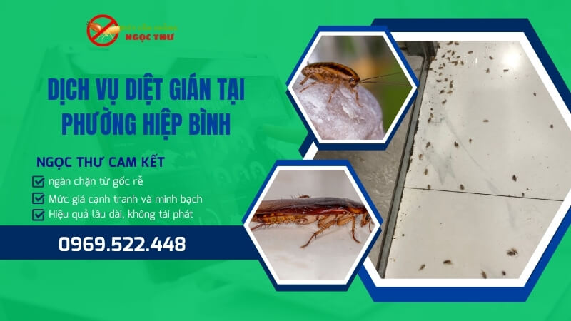 Dịch vụ diệt gián tại phường Hiệp Bình, TP.HCM