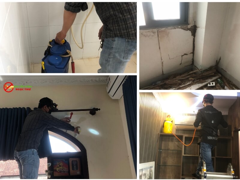 Dịch vụ diệt mối Phường Hiệp Bình – Diệt tận gốc, giá cạnh tranh, bảo hành dài hạn 2 diệt mối tận gốc bằng thuốc sinh học