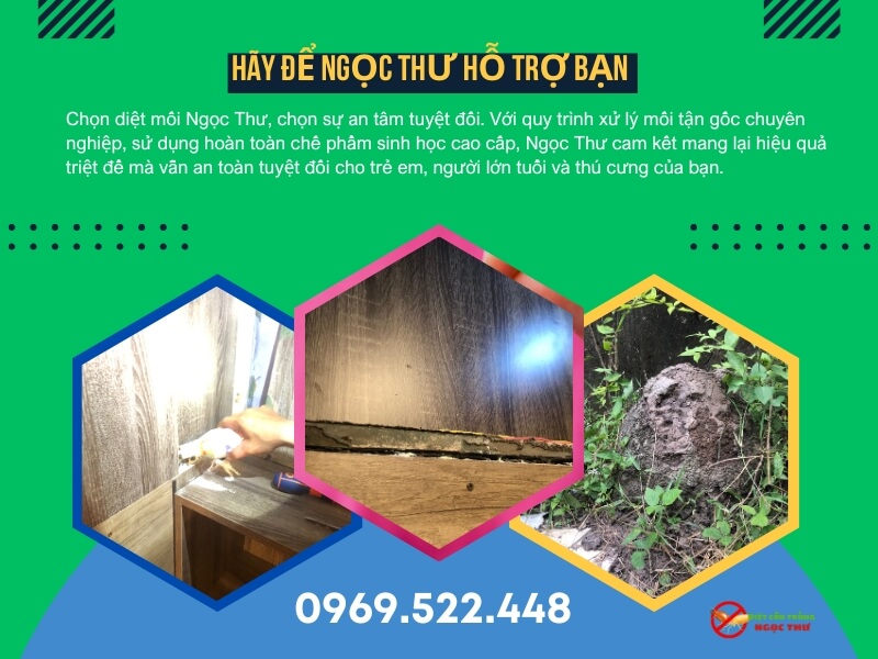 Dịch vụ diệt mối Phường Hiệp Bình – Diệt tận gốc, giá cạnh tranh, bảo hành dài hạn 3 dịch vụ diệt mối tại phường Hiệp Bình