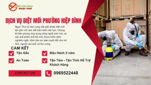 Dịch vụ diệt mối tận gốc phường hiệp bình