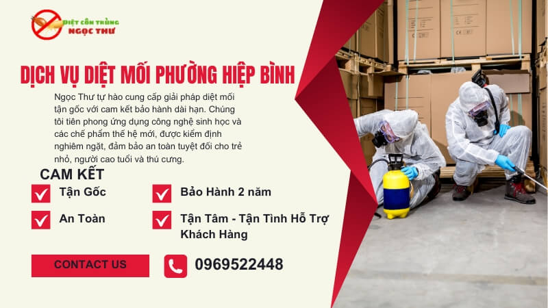 Dịch vụ diệt mối Phường Hiệp Bình – Diệt tận gốc, giá cạnh tranh, bảo hành dài hạn 1 Dịch vụ diệt mối tận gốc phường hiệp bình