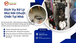 Dịch vụ xuwer lý mùi hôi chuột chết tại nhà của Ngọc Thư