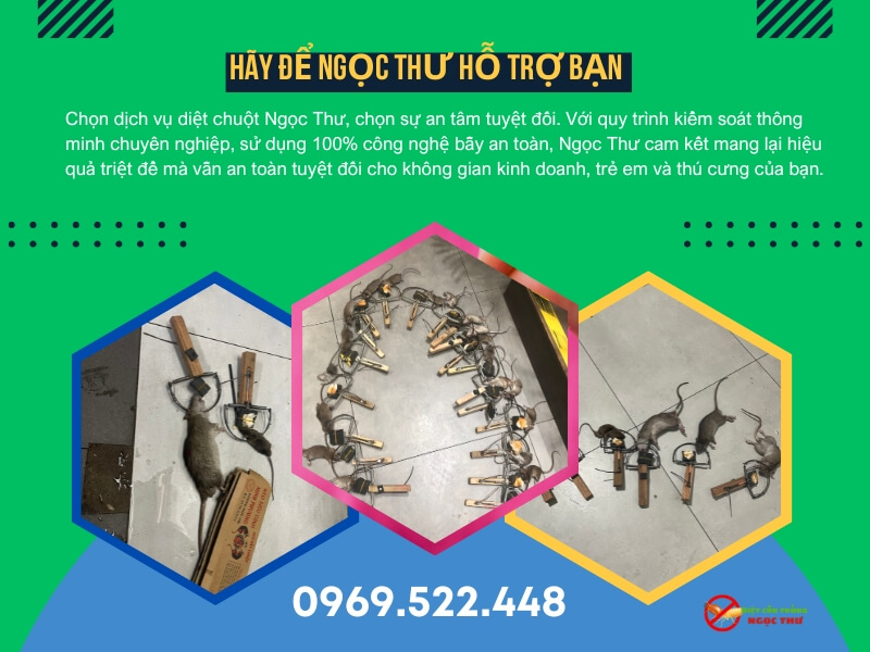 giá dịch vụ diệt chuột 2 Dịch vụ diệt chuột chuyên nghiệp, uy tín tại TPHCM và các tỉnh lân cận -Ngọc thư
