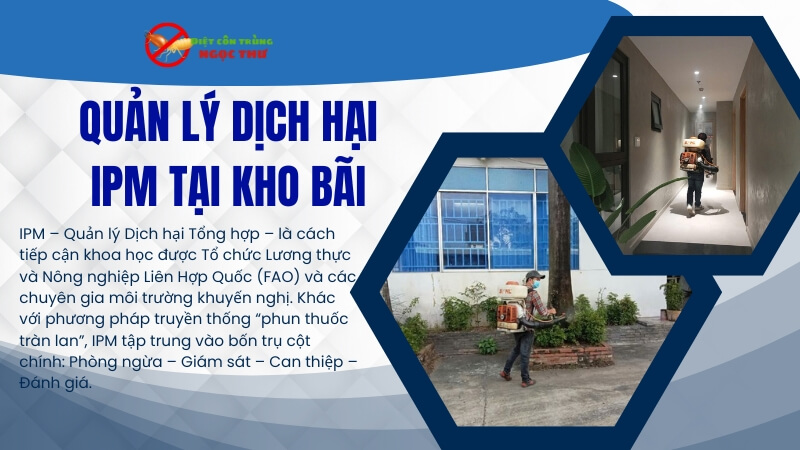 Quản Lý Dịch Hại IPM Tại Kho Bãi: Bảo Vệ Hàng Hóa Khỏi Thiệt Hại Không Mong Muốn 1 quản lý dịch hại tổng hợp IPM tại kho bãi