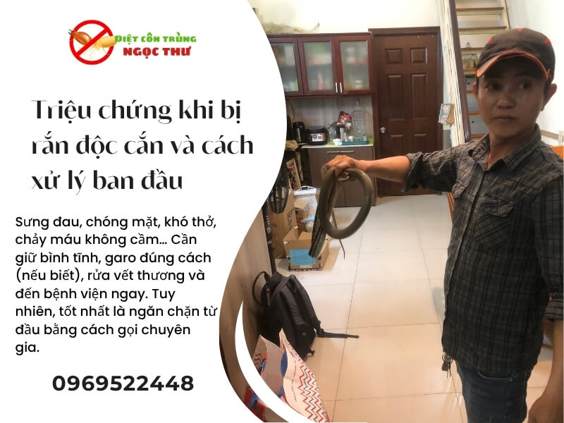 Rắn thường trốn ở đâu trong nhà? 3 Triệu chứng khi bị rắn độc cắn