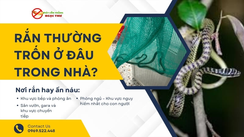 Rắn thường trốn ở đâu trong nhà? 1 Rắn thường trốn ở đâu trong nhà?