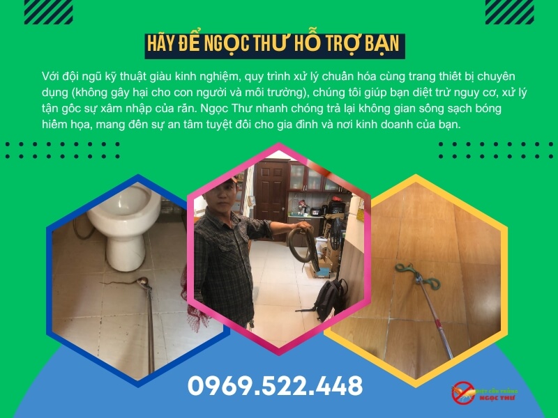 Dịch vụ bắt rắn chuyên nghiệp Ngọc Thư