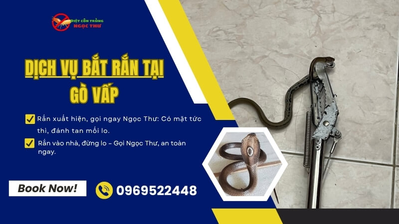 Dịch vụ bắt rắn tại Gò Vấp nhanh chóng