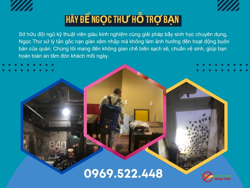 Kinh nghiệm hơn 10 năm làm nghề diệt gián và côn trùng của Ngọc Thư