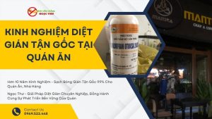 Kinh nghiệm diệt gián tận gốc tại quán ăn của Ngọc Thư