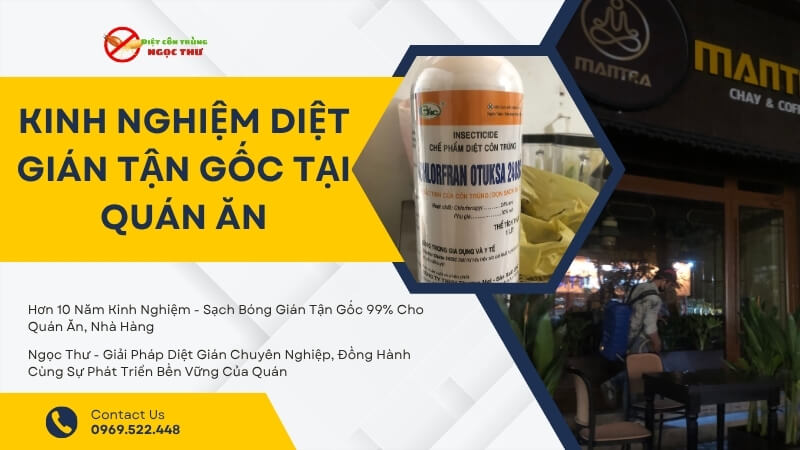 Kinh nghiệm diệt gián tận gốc tại quán ăn của Ngọc Thư