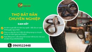 Thợ bắt rắn chuyên nghiệp- diệt côn trùng Ngọc Thư
