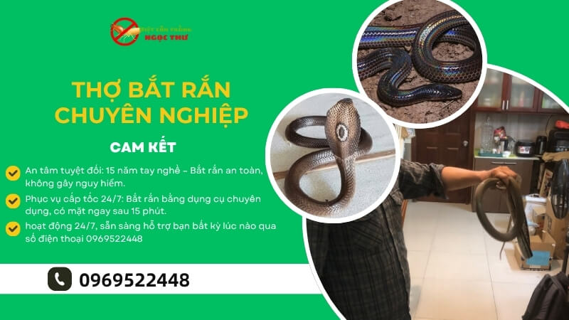 Thợ bắt rắn chuyên nghiệp- diệt côn trùng Ngọc Thư