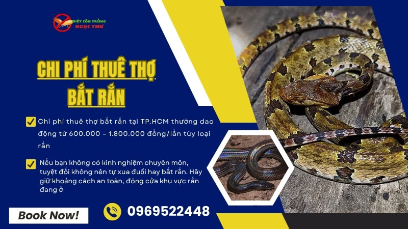 Chi phí thuê thợ bắt rắn