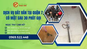 Dịch vụ bắt rắn tại quận 7 nhanh chóng