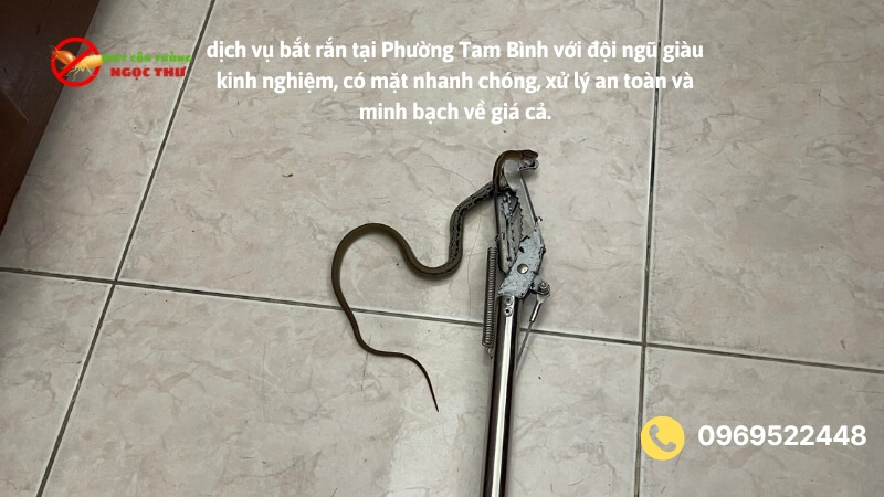 Dịch vụ bắt rắn tại phường Tam Bình Ngọc Thư