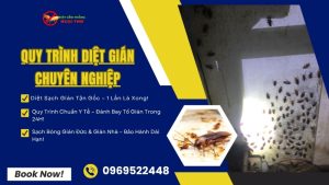 Quy trình diệt gián tại Ngọc Thư